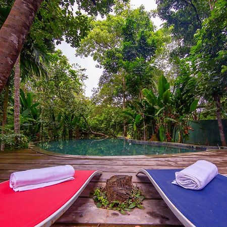 Wild Nest Villa Unawatuna Kültér fotó